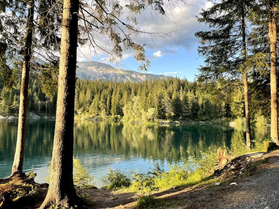 Swiss Chalet Near Flims Trin 외부 사진